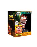 Crash Bandicoot Icon Light